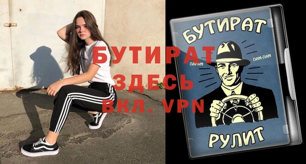 индика Алексин