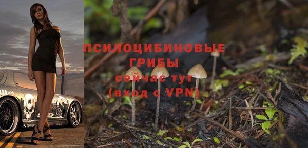 бошки Абинск