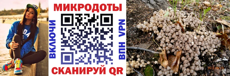 Псилоцибиновые грибы ЛСД Берёзовка